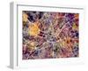 Manchester England City Street Map-Michael Tompsett-Framed Art Print