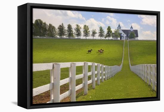 Manchester Farm, Kentucky 08-Monte Nagler-Framed Stretched Canvas