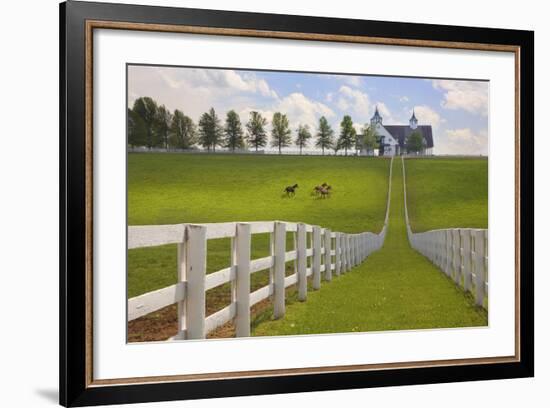 Manchester Farm, Kentucky 08-Monte Nagler-Framed Photographic Print