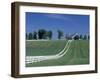 Manchester Horse Farm, Lexington, Kentucky, USA-Adam Jones-Framed Premium Photographic Print