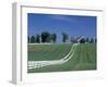 Manchester Horse Farm, Lexington, Kentucky, USA-Adam Jones-Framed Premium Photographic Print