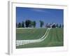 Manchester Horse Farm, Lexington, Kentucky, USA-Adam Jones-Framed Photographic Print