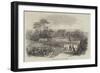 Manchester Public Parks, The Peel Park-null-Framed Giclee Print