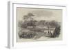 Manchester Public Parks, The Peel Park-null-Framed Giclee Print