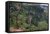 Manchewe Falls Near Livingstonia, Malawi, Africa-Michael Runkel-Framed Stretched Canvas