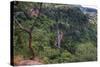 Manchewe Falls Near Livingstonia, Malawi, Africa-Michael Runkel-Stretched Canvas