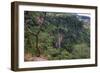 Manchewe Falls Near Livingstonia, Malawi, Africa-Michael Runkel-Framed Photographic Print