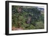 Manchewe Falls Near Livingstonia, Malawi, Africa-Michael Runkel-Framed Photographic Print