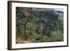 Manchewe Falls Near Livingstonia, Malawi, Africa-Michael Runkel-Framed Photographic Print