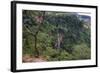 Manchewe Falls Near Livingstonia, Malawi, Africa-Michael Runkel-Framed Photographic Print