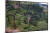 Manchewe Falls Near Livingstonia, Malawi, Africa-Michael Runkel-Mounted Photographic Print