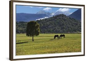 Mancos Morning (color)-Barry Hart-Framed Giclee Print