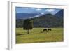 Mancos Morning (color)-Barry Hart-Framed Art Print