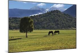 Mancos Morning (color)-Barry Hart-Mounted Art Print