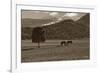 Mancos Morning-Barry Hart-Framed Giclee Print