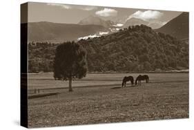 Mancos Morning-Barry Hart-Stretched Canvas