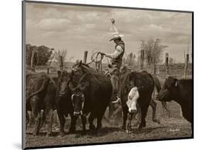 Mancos Roping-Barry Hart-Mounted Art Print