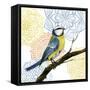 Mandala Bird I-Grace Popp-Framed Stretched Canvas