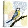 Mandala Bird I-Grace Popp-Stretched Canvas