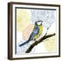 Mandala Bird I-Grace Popp-Framed Art Print
