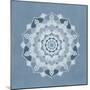 Mandala Blue 1-Kimberly Allen-Mounted Art Print