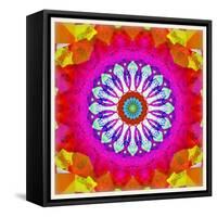 Mandala, Colourful, 'Centre of Your of Soul'-Alaya Gadeh-Framed Stretched Canvas