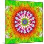 Mandala, Colourful, 'Happy Happy Happy of Mandala'-Alaya Gadeh-Mounted Photographic Print