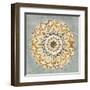 Mandala Delight II Yellow Grey-Danhui Nai-Framed Art Print