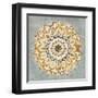 Mandala Delight II Yellow Grey-Danhui Nai-Framed Art Print