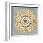 Mandala Delight II Yellow Grey-Danhui Nai-Framed Art Print