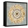 Mandala Delight II Yellow Grey-Danhui Nai-Framed Stretched Canvas