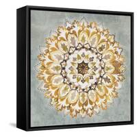 Mandala Delight II Yellow Grey-Danhui Nai-Framed Stretched Canvas