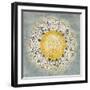 Mandala Delight IV Yellow Grey-Danhui Nai-Framed Art Print