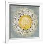 Mandala Delight IV Yellow Grey-Danhui Nai-Framed Art Print