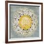 Mandala Delight IV Yellow Grey-Danhui Nai-Framed Art Print