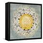 Mandala Delight IV Yellow Grey-Danhui Nai-Framed Stretched Canvas