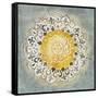 Mandala Delight IV Yellow Grey-Danhui Nai-Framed Stretched Canvas