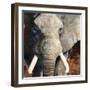 Mandala Elephant-Stellar Design Studio-Framed Art Print