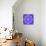 Mandala, Filigree Symmetrical Arrangement in Lilac-Alaya Gadeh-Photographic Print displayed on a wall