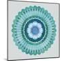 Mandala Floral - Azure-Sam Kemp-Mounted Giclee Print