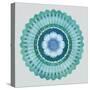 Mandala Floral - Azure-Sam Kemp-Stretched Canvas