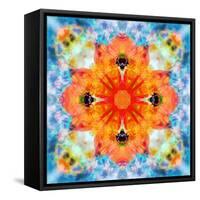 Mandala from Flower Photographs-Alaya Gadeh-Framed Stretched Canvas