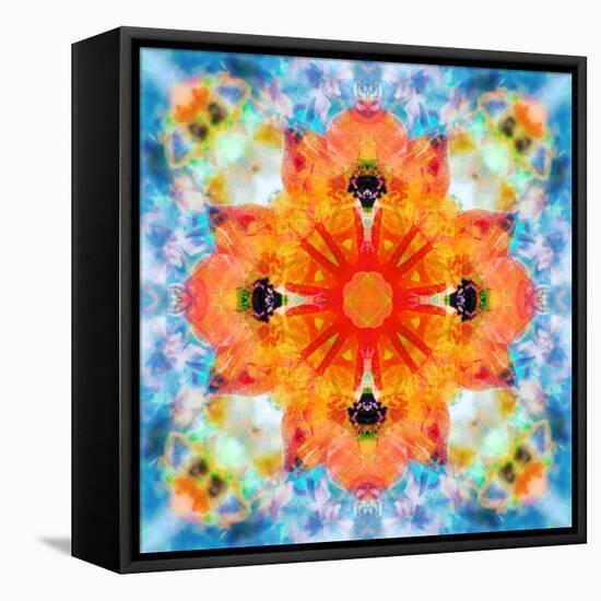 Mandala from Flower Photographs-Alaya Gadeh-Framed Stretched Canvas