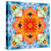 Mandala from Flower Photographs-Alaya Gadeh-Stretched Canvas