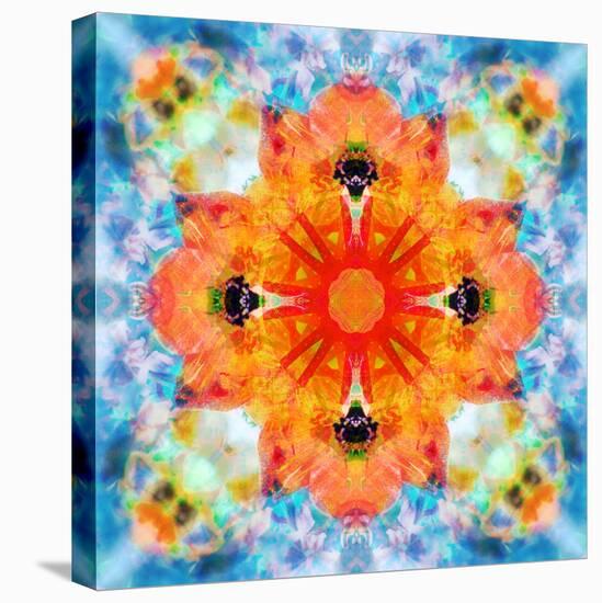 Mandala from Flower Photographs-Alaya Gadeh-Stretched Canvas