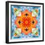 Mandala from Flower Photographs-Alaya Gadeh-Framed Photographic Print