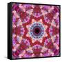 Mandala from Flowers-Alaya Gadeh-Framed Stretched Canvas