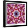 Mandala from Flowers-Alaya Gadeh-Framed Photographic Print