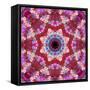 Mandala from Flowers-Alaya Gadeh-Framed Stretched Canvas
