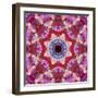 Mandala from Flowers-Alaya Gadeh-Framed Photographic Print